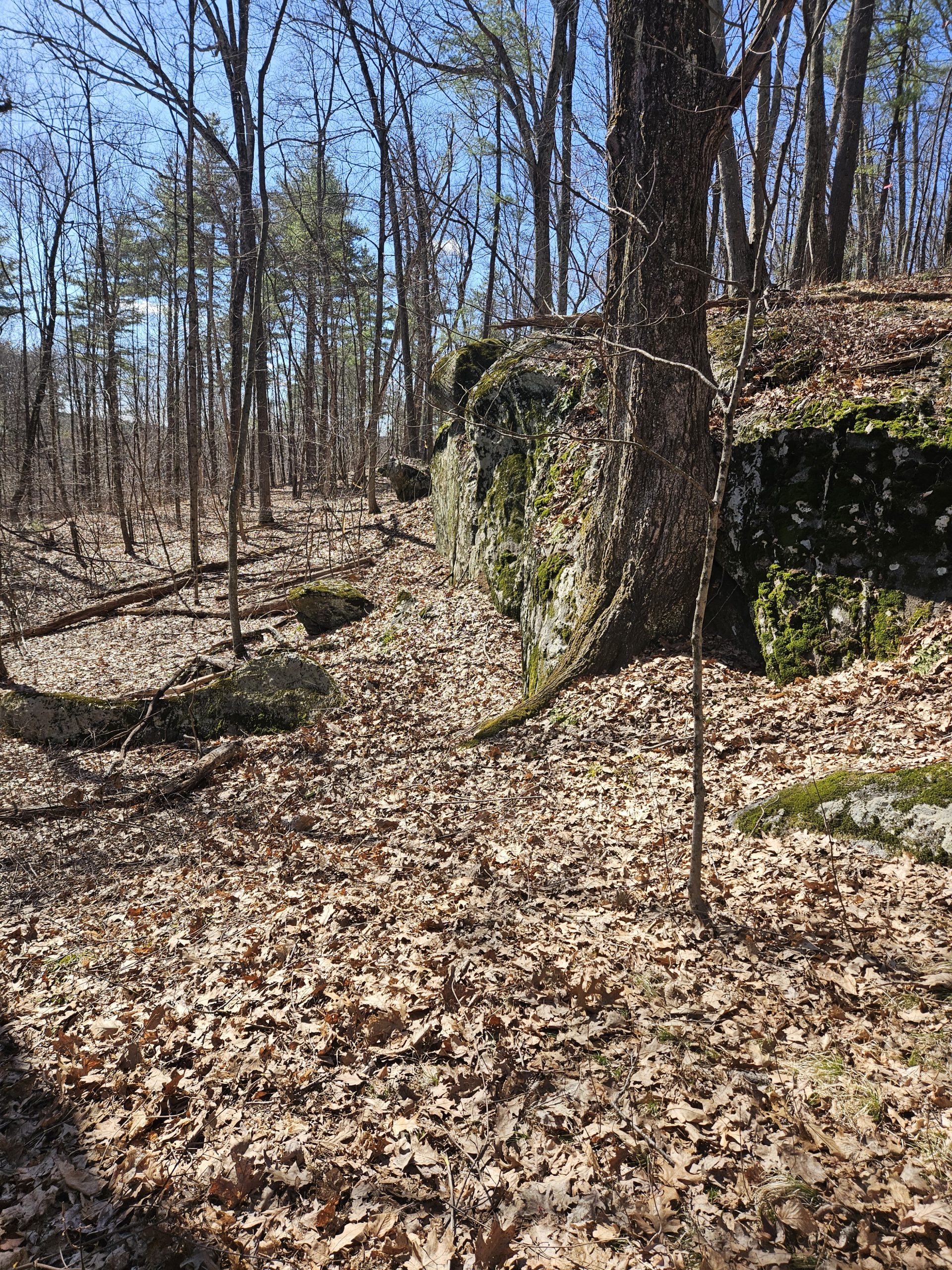 Clubhouse trail before